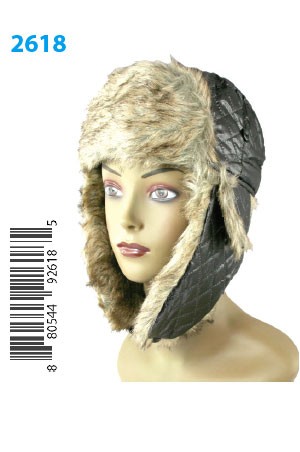 Winter Hat #2618 - pc