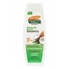 Palmer's Coconut Oil Moisture Boost Shampoo 13.5oz#100	