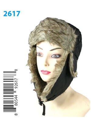 Winter Hat #2617 - pc